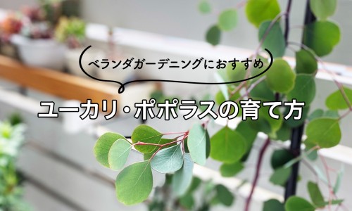 脂肪肝瘦了十几斤会好吗-脂肪肝瘦了网 :分享脂肪肝瘦下来会消失吗-脂肪肝瘦了以后会消失吗知识